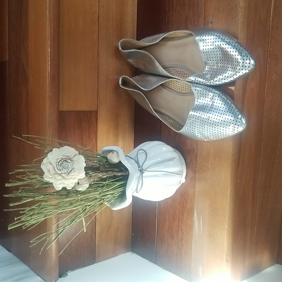 Silver flats - Picture 4 of 5